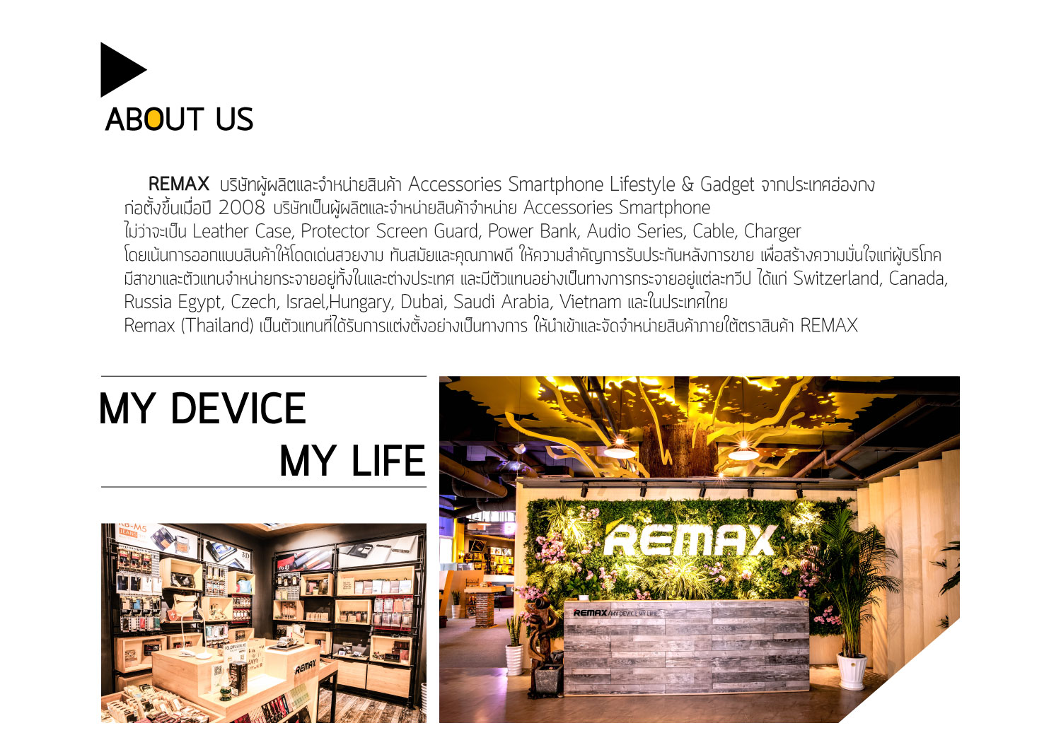 REMAX ก่อตั้งขึ้นในปี 2008 สำนักงานใหญ่ตั้งอยู่เมือง SHENZHEN จาก ประเทศฮ่องกง บริษัทเป็นผู้ผลิตและจำหน่ายสินค้าจำหน่าย Accessories Smartphone ไม่ว่าจะเป็น Leather Case, Protector Screen Guard, Power Bank, Audio Series, Cable, Charger โดยเน้นการออกแบบสินค้าให้โดดเด่นสวยงาม ทันสมัยและคุณภาพดี ให้ความสำคัญการรับประกันหลังการขาย เพื่อสร้างความมั่นใจแก่ผู้บริโภคมีสาขาและตัวแทนจำหน่ายกระจายอยู่ทั้งในและต่างประเทศ และมีตัวแทนอย่างเป็นทางการกระจายอยู่แต่ละทวีป ได้แก่ Switzerland, Canada, Russia Egypt, Czech, Israel,Hungary, Dubai, Saudi Arabia, Vietnam และในประเทศไทย Remax (Thailand) เป็นตัวแทนที่ได้รับการแต่งตั้งอย่างเป็นทางการ ให้นำเข้าและจัดจำหน่ายสินค้าภายใต้ตราสินค้า REMAX